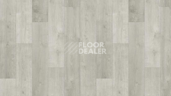 Линолеум Tarkett Фаворит MONDO 2 фото 1 | FLOORDEALER